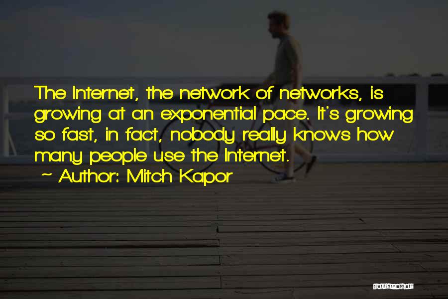 Mitch Kapor Quotes: The Internet, The Network Of Networks, Is Growing At An Exponential Pace. It's Growing So Fast, In Fact, Nobody Really