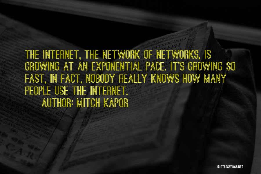 Mitch Kapor Quotes: The Internet, The Network Of Networks, Is Growing At An Exponential Pace. It's Growing So Fast, In Fact, Nobody Really