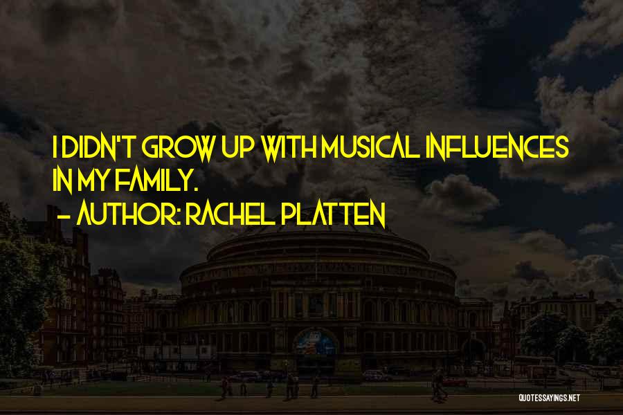 Rachel Platten Quotes: I Didn't Grow Up With Musical Influences In My Family.