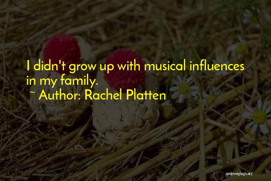 Rachel Platten Quotes: I Didn't Grow Up With Musical Influences In My Family.