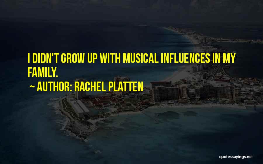 Rachel Platten Quotes: I Didn't Grow Up With Musical Influences In My Family.