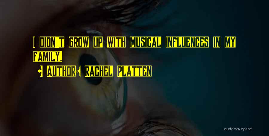 Rachel Platten Quotes: I Didn't Grow Up With Musical Influences In My Family.