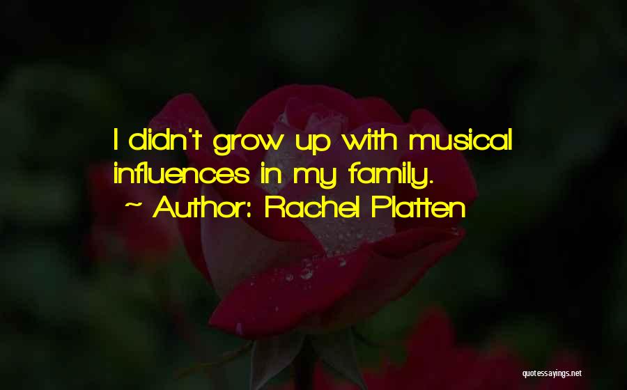 Rachel Platten Quotes: I Didn't Grow Up With Musical Influences In My Family.