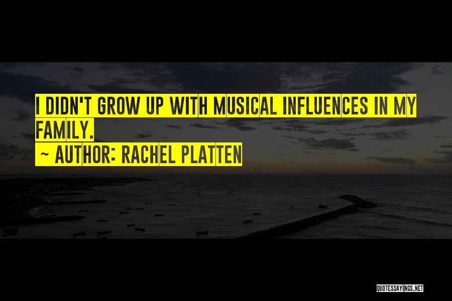 Rachel Platten Quotes: I Didn't Grow Up With Musical Influences In My Family.