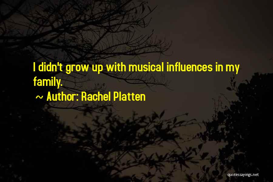 Rachel Platten Quotes: I Didn't Grow Up With Musical Influences In My Family.
