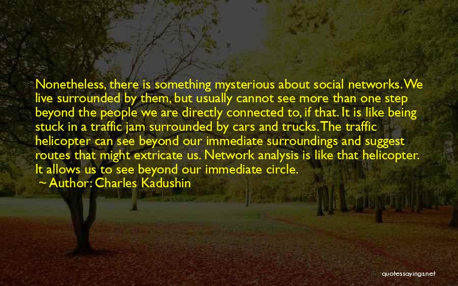 Charles Kadushin Quotes: Nonetheless, There Is Something Mysterious About Social Networks. We Live Surrounded By Them, But Usually Cannot See More Than One