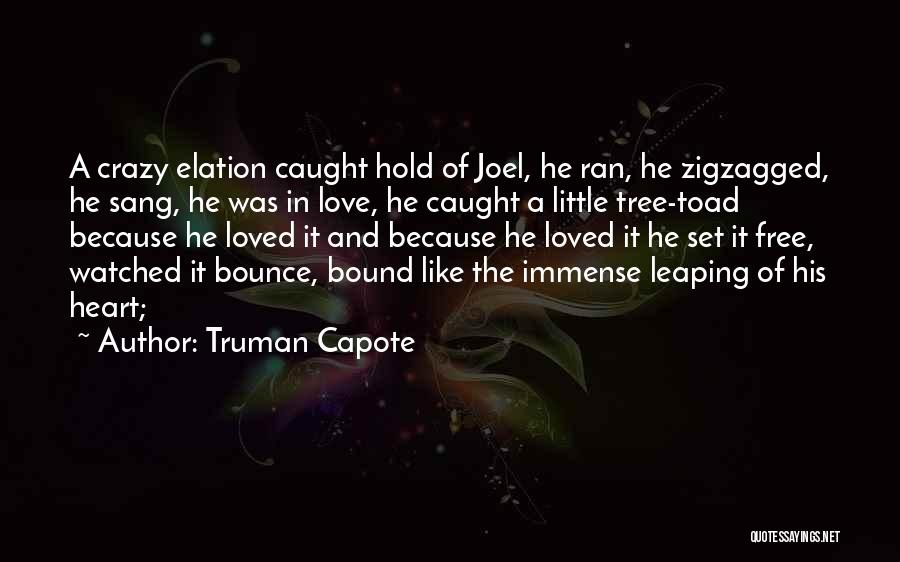 Truman Capote Quotes: A Crazy Elation Caught Hold Of Joel, He Ran, He Zigzagged, He Sang, He Was In Love, He Caught A