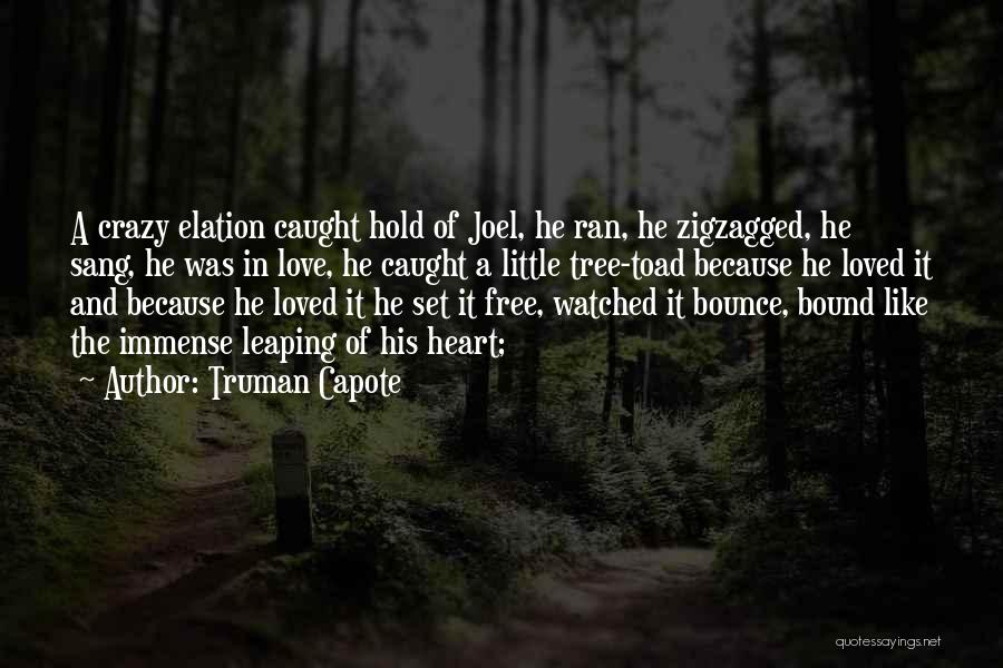 Truman Capote Quotes: A Crazy Elation Caught Hold Of Joel, He Ran, He Zigzagged, He Sang, He Was In Love, He Caught A