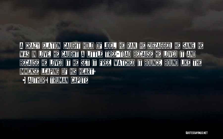 Truman Capote Quotes: A Crazy Elation Caught Hold Of Joel, He Ran, He Zigzagged, He Sang, He Was In Love, He Caught A