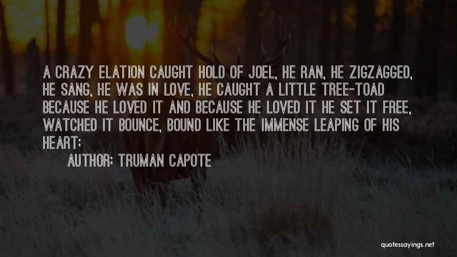 Truman Capote Quotes: A Crazy Elation Caught Hold Of Joel, He Ran, He Zigzagged, He Sang, He Was In Love, He Caught A