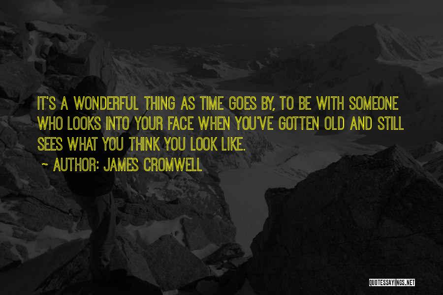 James Cromwell Quotes: It's A Wonderful Thing As Time Goes By, To Be With Someone Who Looks Into Your Face When You've Gotten