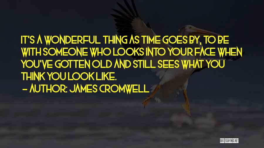 James Cromwell Quotes: It's A Wonderful Thing As Time Goes By, To Be With Someone Who Looks Into Your Face When You've Gotten