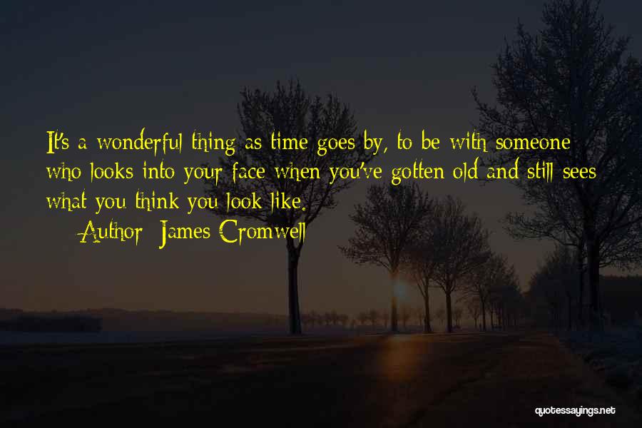 James Cromwell Quotes: It's A Wonderful Thing As Time Goes By, To Be With Someone Who Looks Into Your Face When You've Gotten