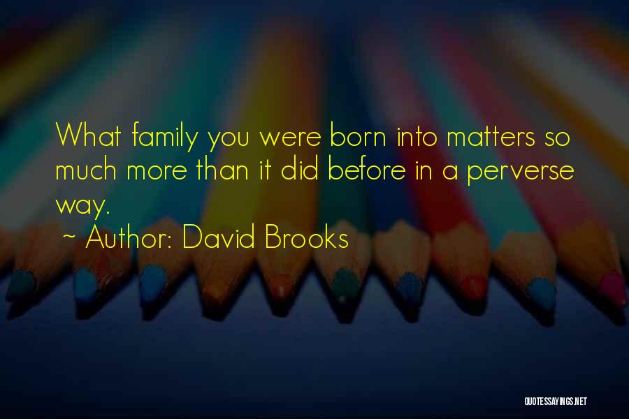 David Brooks Quotes: What Family You Were Born Into Matters So Much More Than It Did Before In A Perverse Way.