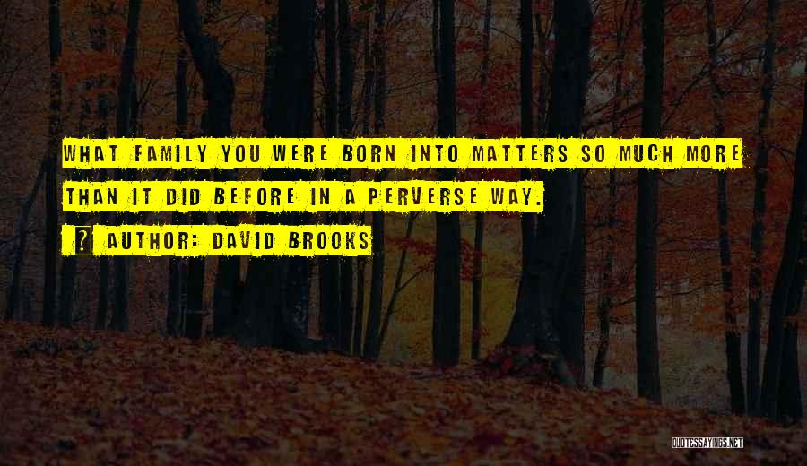 David Brooks Quotes: What Family You Were Born Into Matters So Much More Than It Did Before In A Perverse Way.