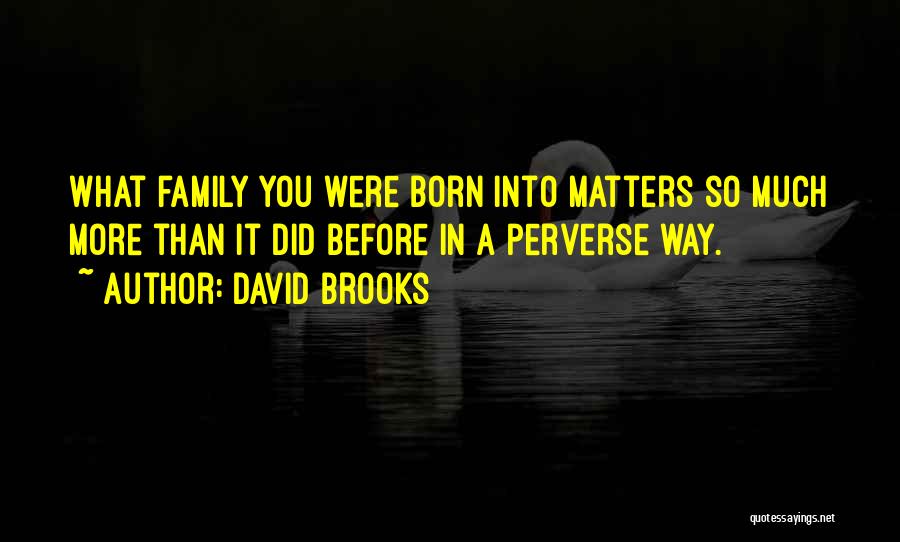 David Brooks Quotes: What Family You Were Born Into Matters So Much More Than It Did Before In A Perverse Way.