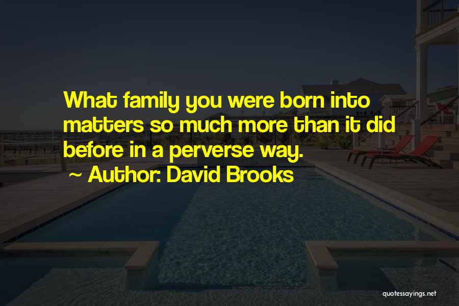David Brooks Quotes: What Family You Were Born Into Matters So Much More Than It Did Before In A Perverse Way.