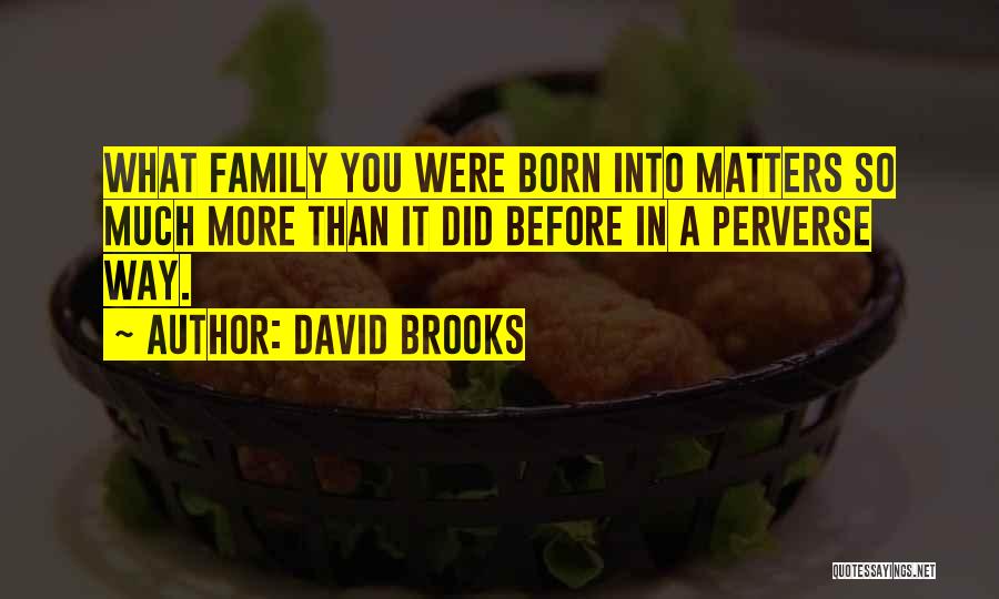 David Brooks Quotes: What Family You Were Born Into Matters So Much More Than It Did Before In A Perverse Way.