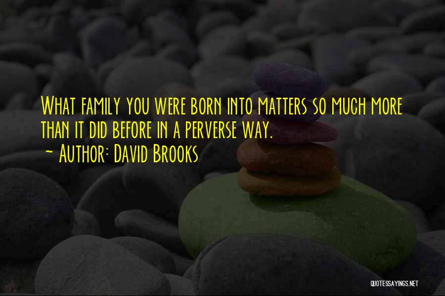 David Brooks Quotes: What Family You Were Born Into Matters So Much More Than It Did Before In A Perverse Way.