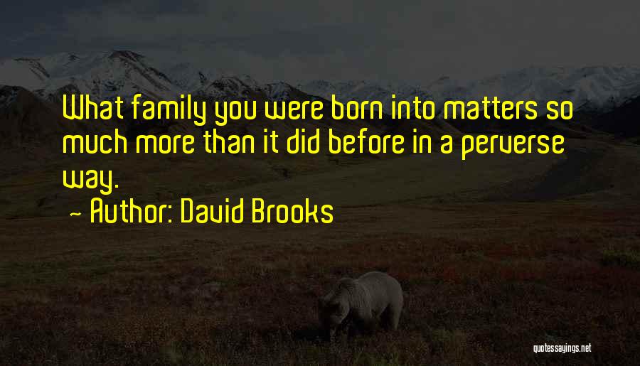 David Brooks Quotes: What Family You Were Born Into Matters So Much More Than It Did Before In A Perverse Way.