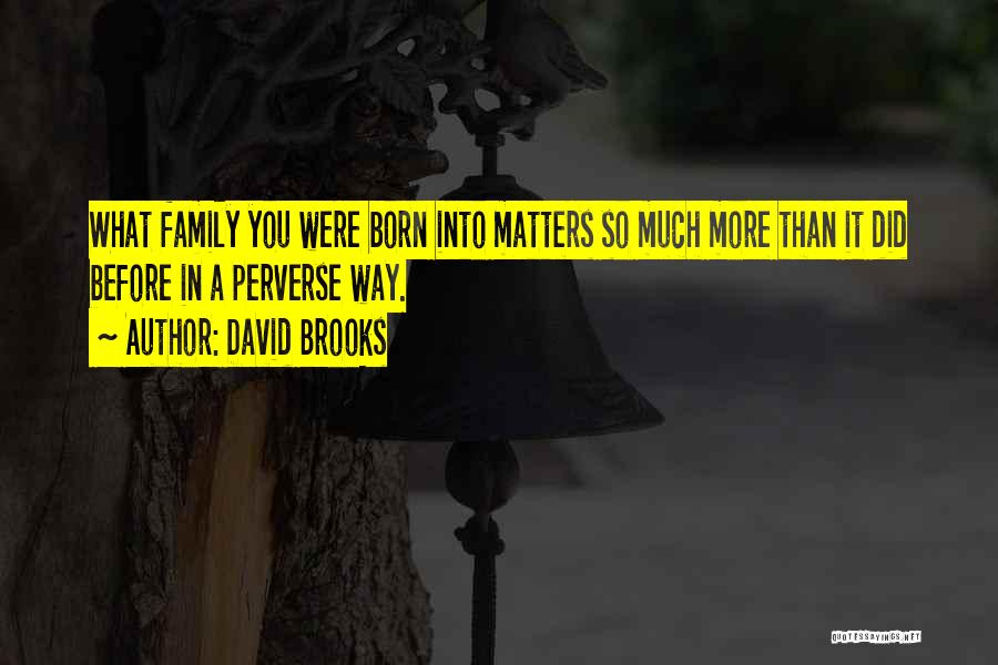 David Brooks Quotes: What Family You Were Born Into Matters So Much More Than It Did Before In A Perverse Way.