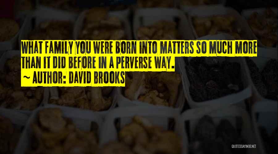 David Brooks Quotes: What Family You Were Born Into Matters So Much More Than It Did Before In A Perverse Way.