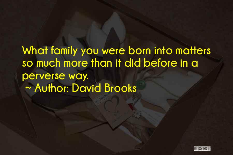 David Brooks Quotes: What Family You Were Born Into Matters So Much More Than It Did Before In A Perverse Way.