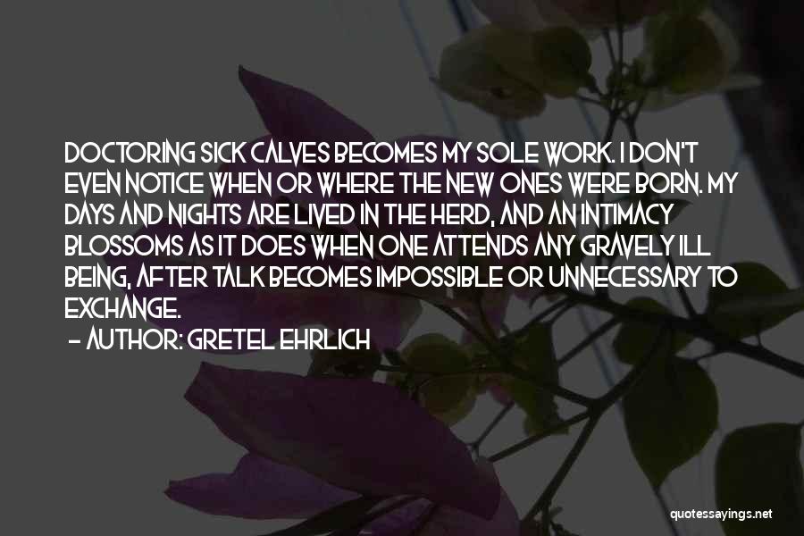 Gretel Ehrlich Quotes: Doctoring Sick Calves Becomes My Sole Work. I Don't Even Notice When Or Where The New Ones Were Born. My