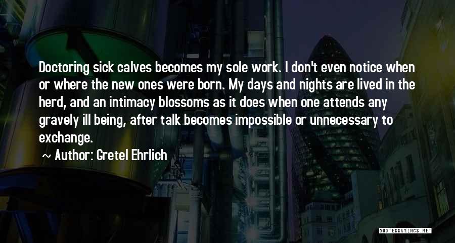 Gretel Ehrlich Quotes: Doctoring Sick Calves Becomes My Sole Work. I Don't Even Notice When Or Where The New Ones Were Born. My