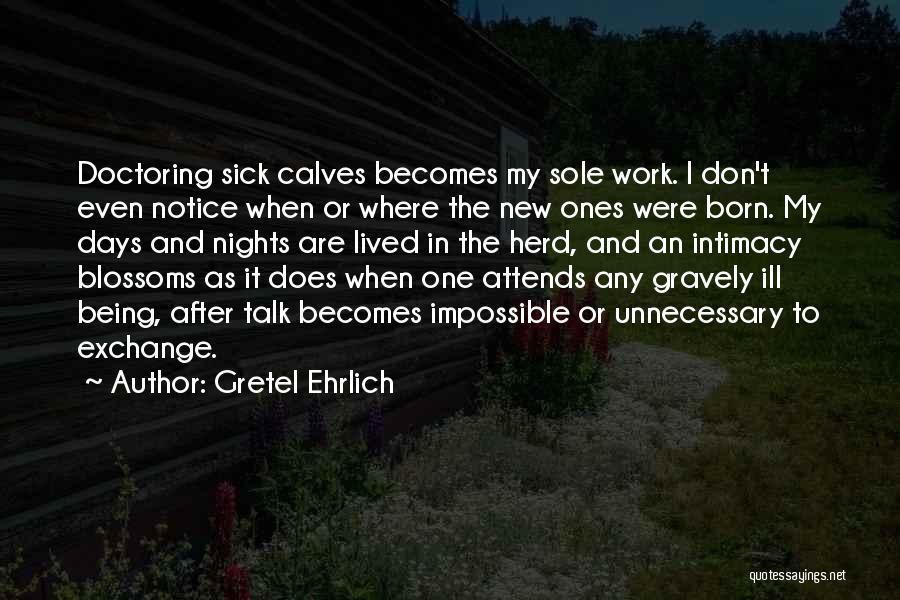 Gretel Ehrlich Quotes: Doctoring Sick Calves Becomes My Sole Work. I Don't Even Notice When Or Where The New Ones Were Born. My