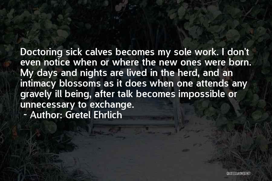 Gretel Ehrlich Quotes: Doctoring Sick Calves Becomes My Sole Work. I Don't Even Notice When Or Where The New Ones Were Born. My