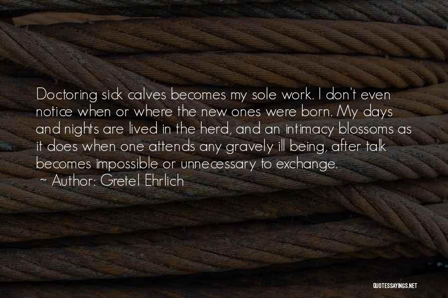 Gretel Ehrlich Quotes: Doctoring Sick Calves Becomes My Sole Work. I Don't Even Notice When Or Where The New Ones Were Born. My