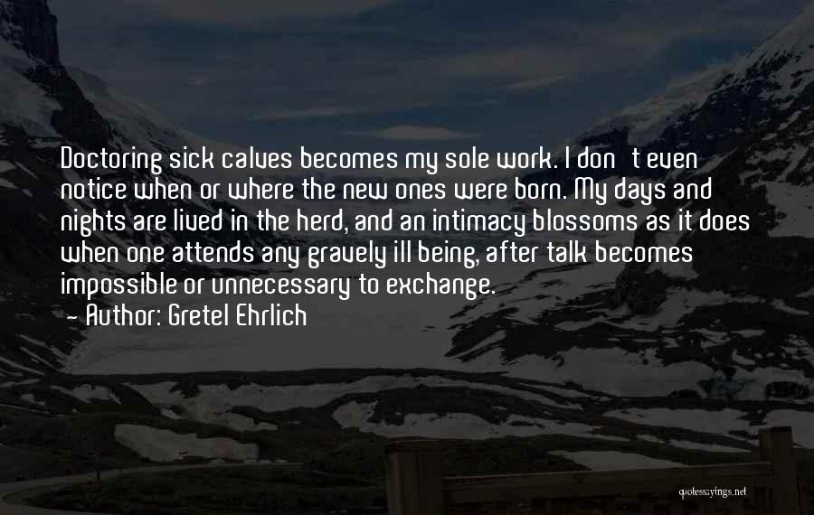 Gretel Ehrlich Quotes: Doctoring Sick Calves Becomes My Sole Work. I Don't Even Notice When Or Where The New Ones Were Born. My