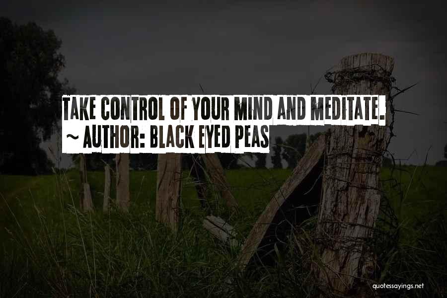 Black Eyed Peas Quotes: Take Control Of Your Mind And Meditate.