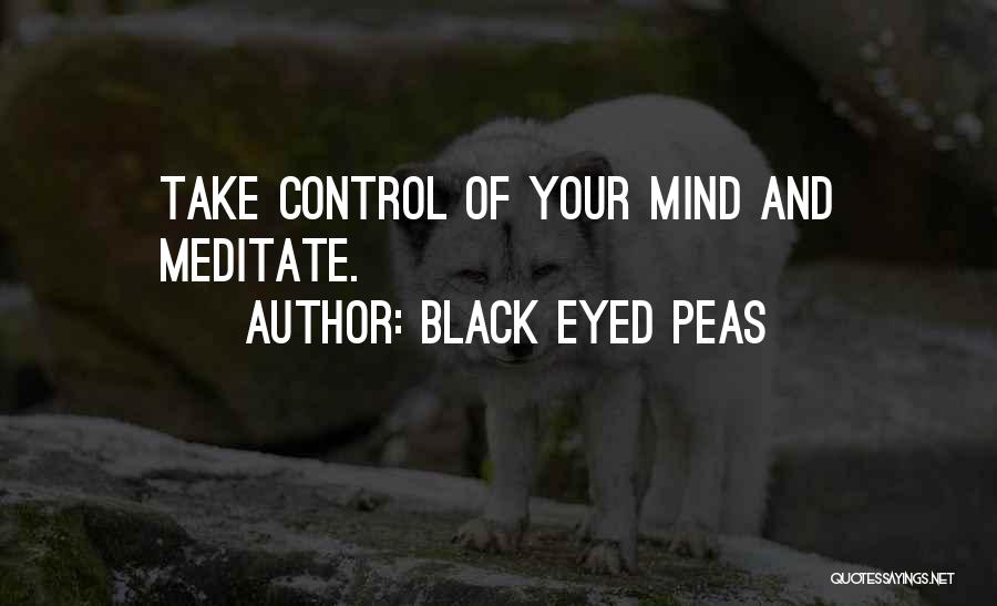 Black Eyed Peas Quotes: Take Control Of Your Mind And Meditate.