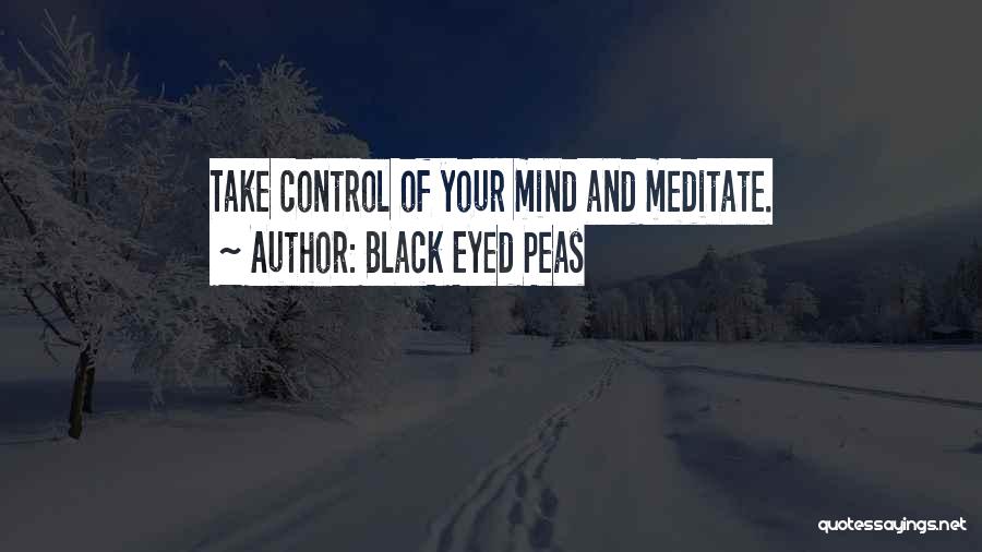 Black Eyed Peas Quotes: Take Control Of Your Mind And Meditate.