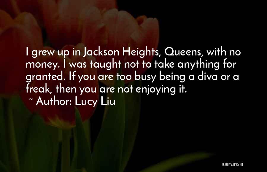 Lucy Liu Quotes: I Grew Up In Jackson Heights, Queens, With No Money. I Was Taught Not To Take Anything For Granted. If