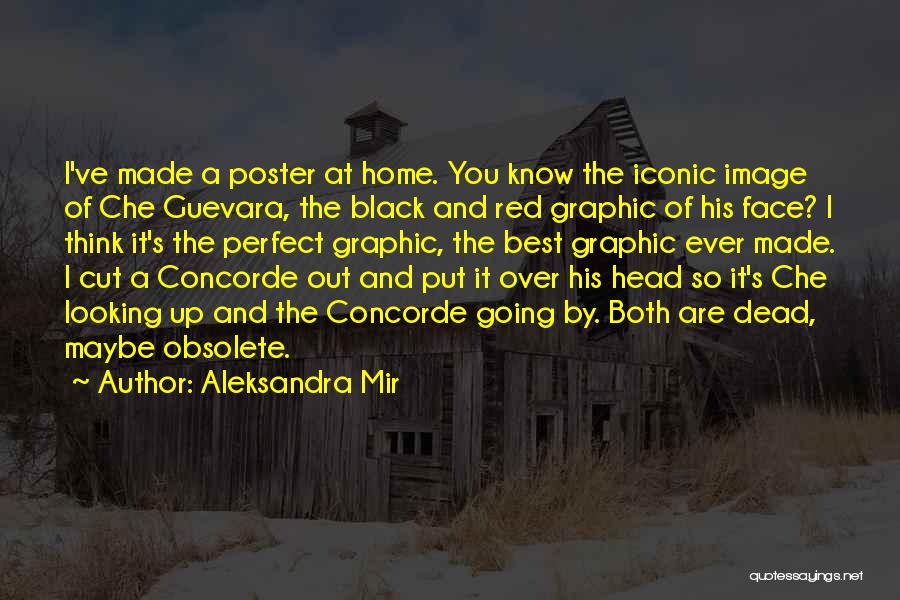 Aleksandra Mir Quotes: I've Made A Poster At Home. You Know The Iconic Image Of Che Guevara, The Black And Red Graphic Of