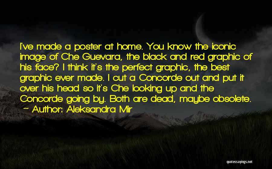 Aleksandra Mir Quotes: I've Made A Poster At Home. You Know The Iconic Image Of Che Guevara, The Black And Red Graphic Of