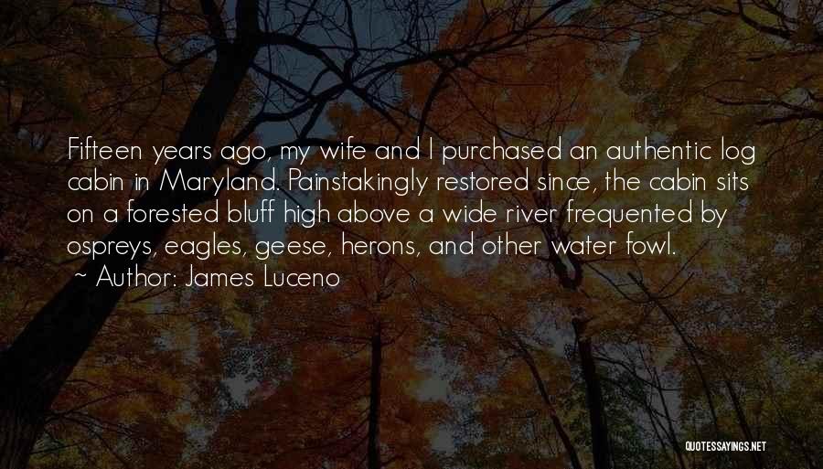 James Luceno Quotes: Fifteen Years Ago, My Wife And I Purchased An Authentic Log Cabin In Maryland. Painstakingly Restored Since, The Cabin Sits