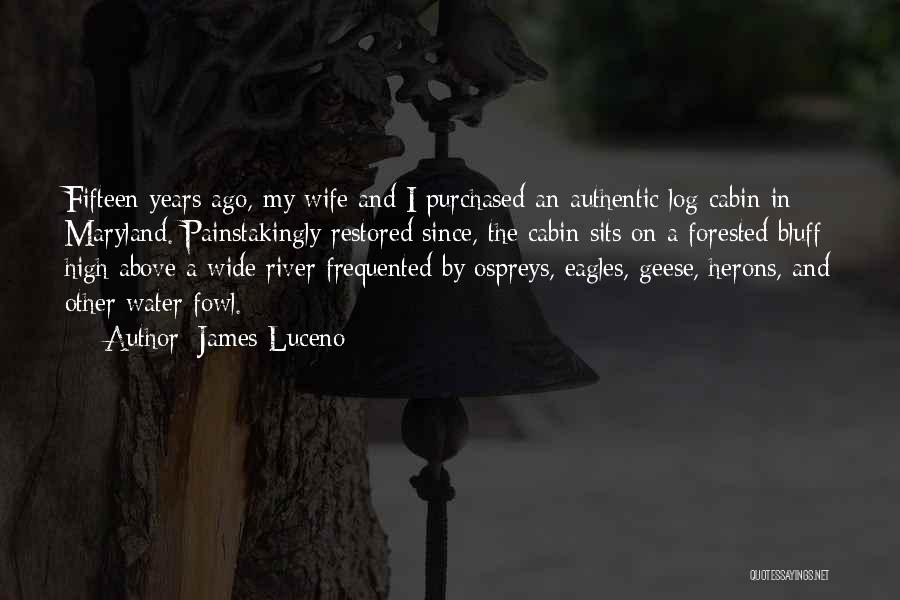 James Luceno Quotes: Fifteen Years Ago, My Wife And I Purchased An Authentic Log Cabin In Maryland. Painstakingly Restored Since, The Cabin Sits