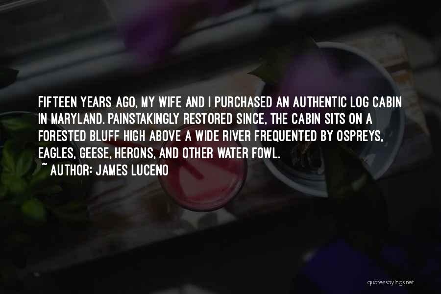 James Luceno Quotes: Fifteen Years Ago, My Wife And I Purchased An Authentic Log Cabin In Maryland. Painstakingly Restored Since, The Cabin Sits