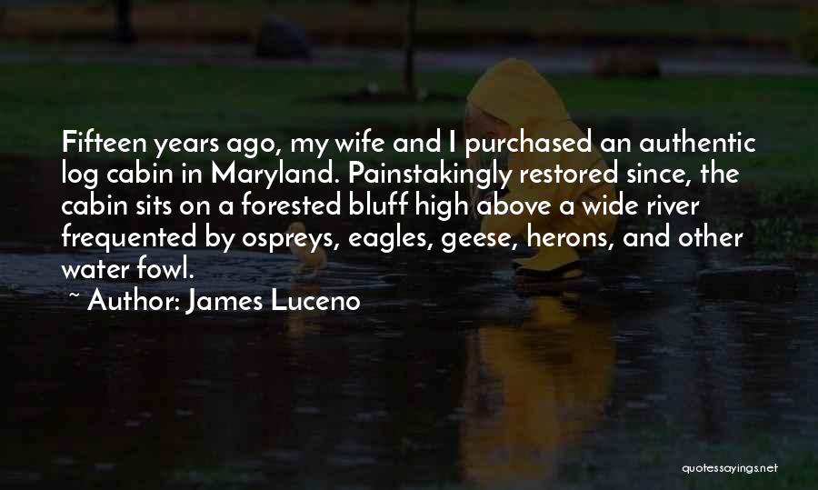 James Luceno Quotes: Fifteen Years Ago, My Wife And I Purchased An Authentic Log Cabin In Maryland. Painstakingly Restored Since, The Cabin Sits