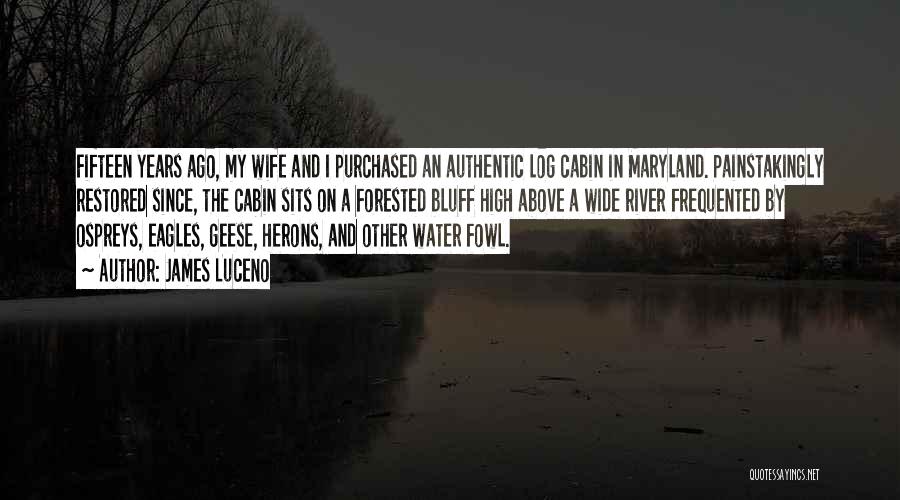 James Luceno Quotes: Fifteen Years Ago, My Wife And I Purchased An Authentic Log Cabin In Maryland. Painstakingly Restored Since, The Cabin Sits