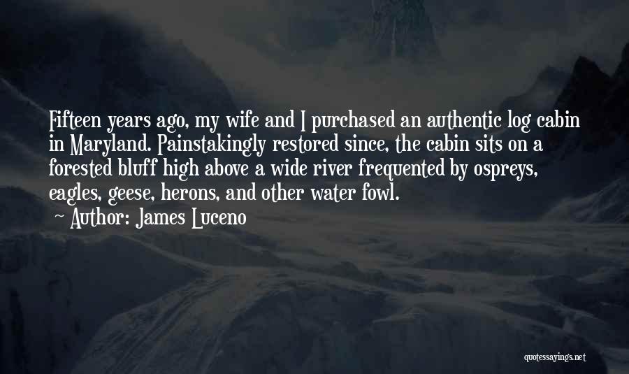 James Luceno Quotes: Fifteen Years Ago, My Wife And I Purchased An Authentic Log Cabin In Maryland. Painstakingly Restored Since, The Cabin Sits