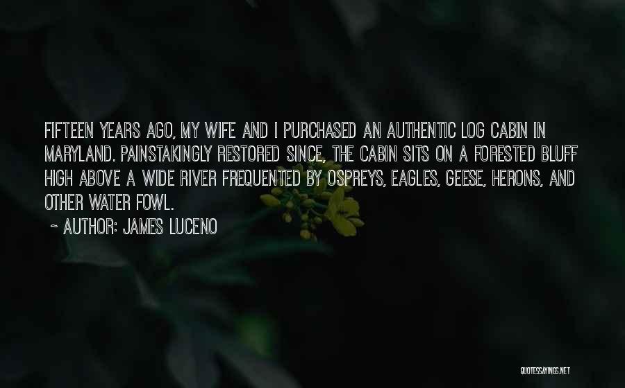 James Luceno Quotes: Fifteen Years Ago, My Wife And I Purchased An Authentic Log Cabin In Maryland. Painstakingly Restored Since, The Cabin Sits