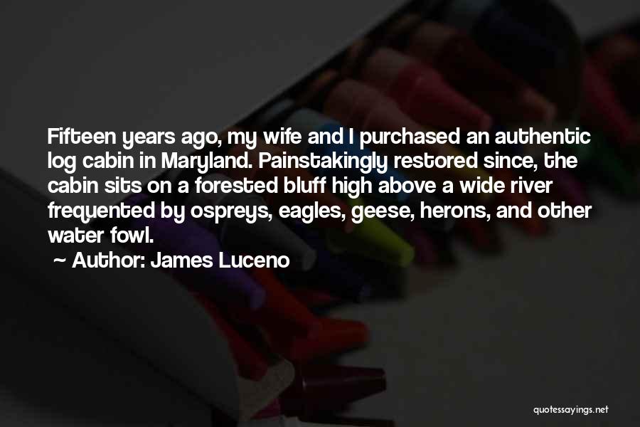 James Luceno Quotes: Fifteen Years Ago, My Wife And I Purchased An Authentic Log Cabin In Maryland. Painstakingly Restored Since, The Cabin Sits