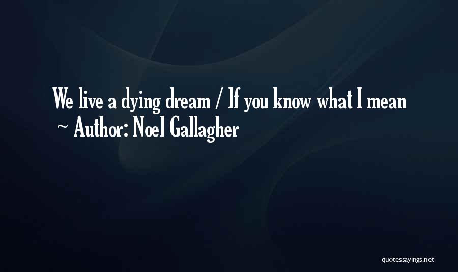 Noel Gallagher Quotes: We Live A Dying Dream / If You Know What I Mean