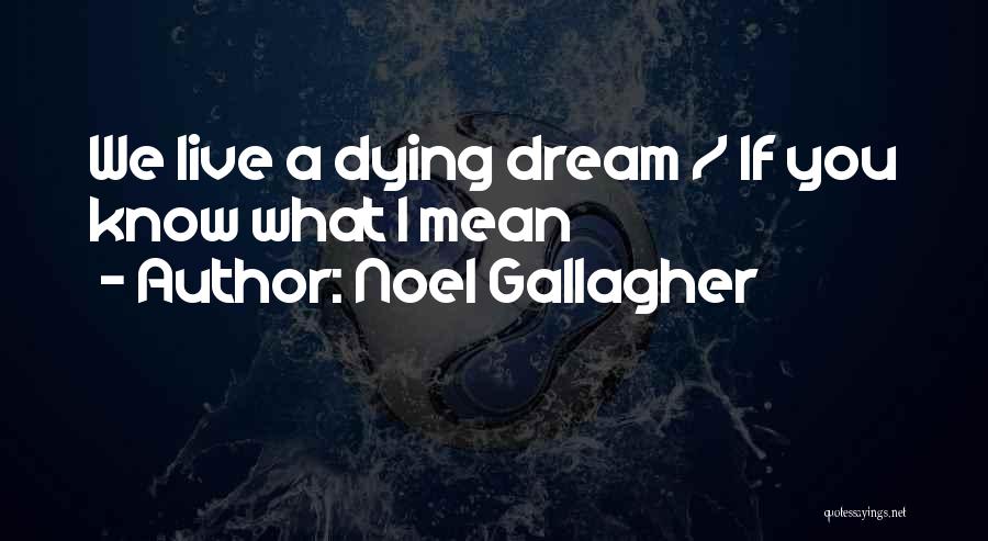 Noel Gallagher Quotes: We Live A Dying Dream / If You Know What I Mean
