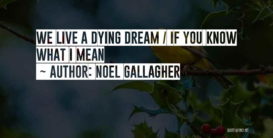 Noel Gallagher Quotes: We Live A Dying Dream / If You Know What I Mean